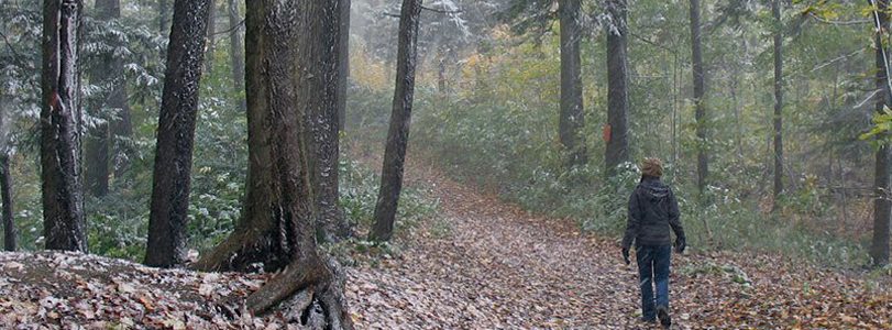 How Play in Nature Feeds Our Spirits and Improves Health walking in woods