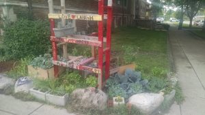 A swatch of the Quinn Community Garden